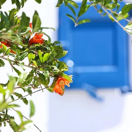 Mykonos In White Villa